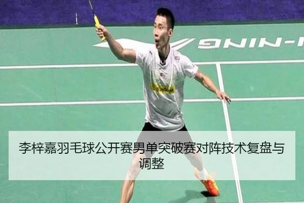 李梓嘉羽毛球公开赛男单突破赛对阵技术复盘与调整 | wangcai28
